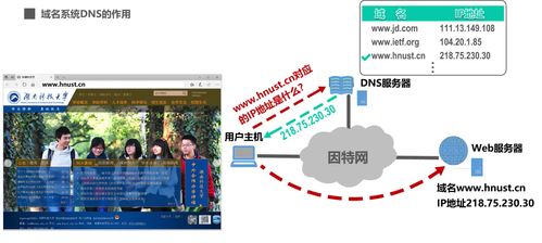 计算机网络 第6章 应用层
