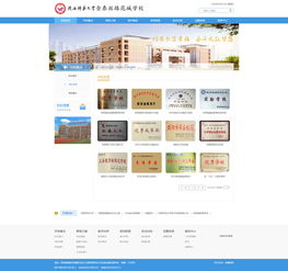 金泰丝路花城学校 教育院校 案例展示 硅峰网络 网站设计 软件开发 微信建设,西安最专业的企业信息化建设网络公司