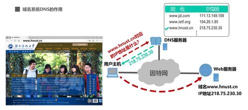 网络系统设计中应用层的关键作用与开发实践