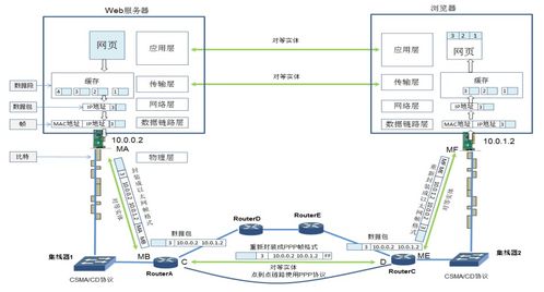 TCP/IP协议与网络系统设计开发概述