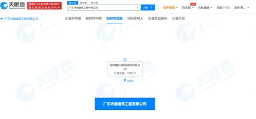 网络系统设计与开发 构建高效可靠的数字架构