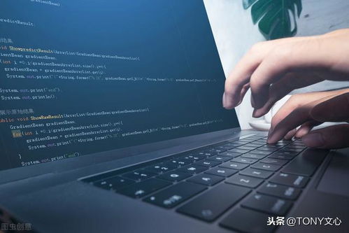 Java反序列化漏洞 利用工具、Web漏洞与防御策略在网络系统设计与开发中的应对
